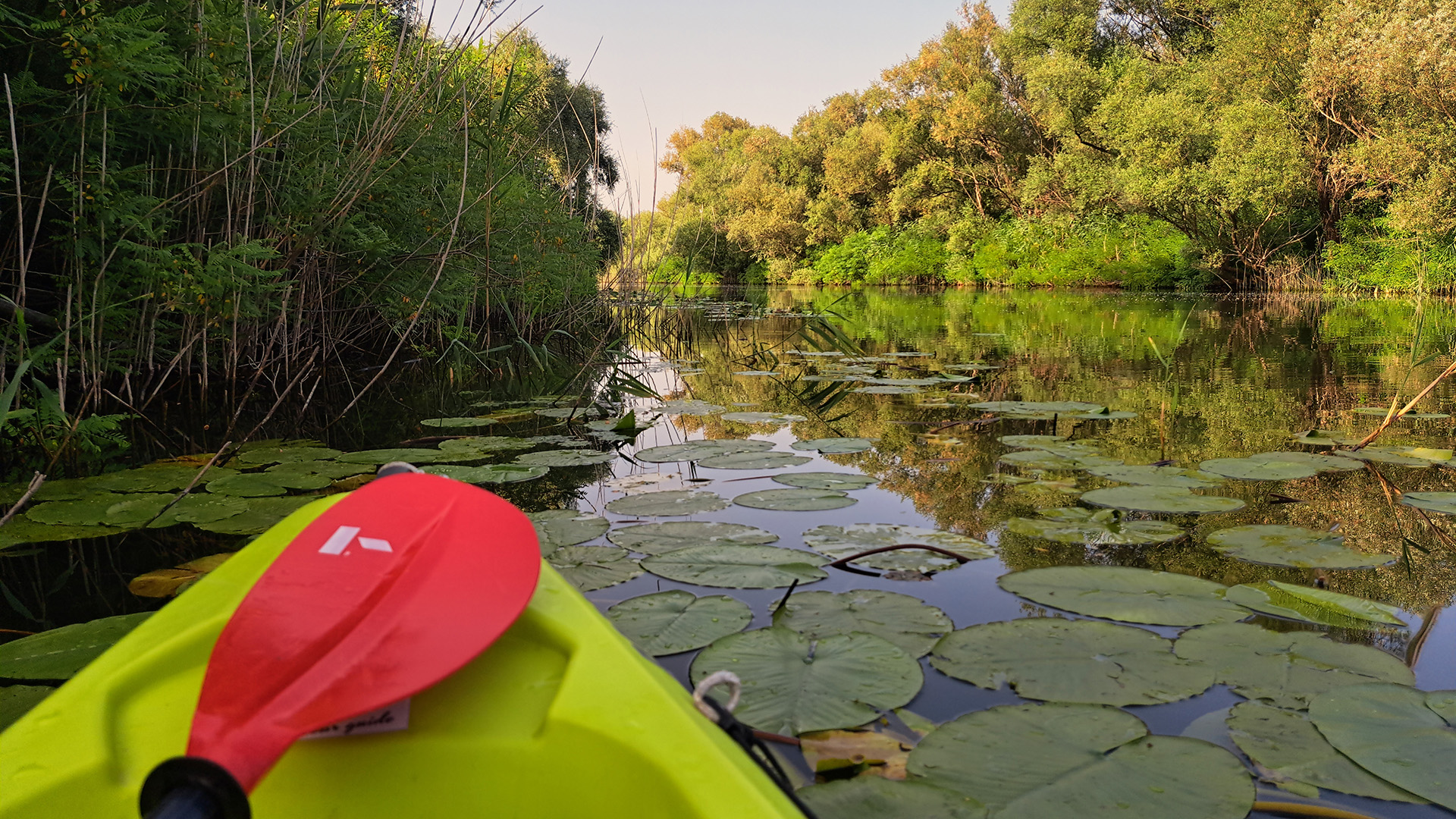 Kayak Lake Skadar Virpazar Montenegro