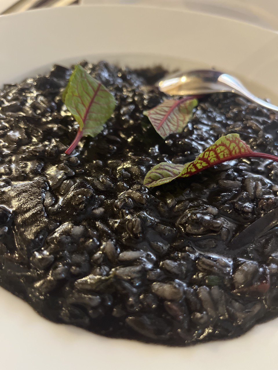 Montenegro Black Risotto Kotor Budva Sea Food