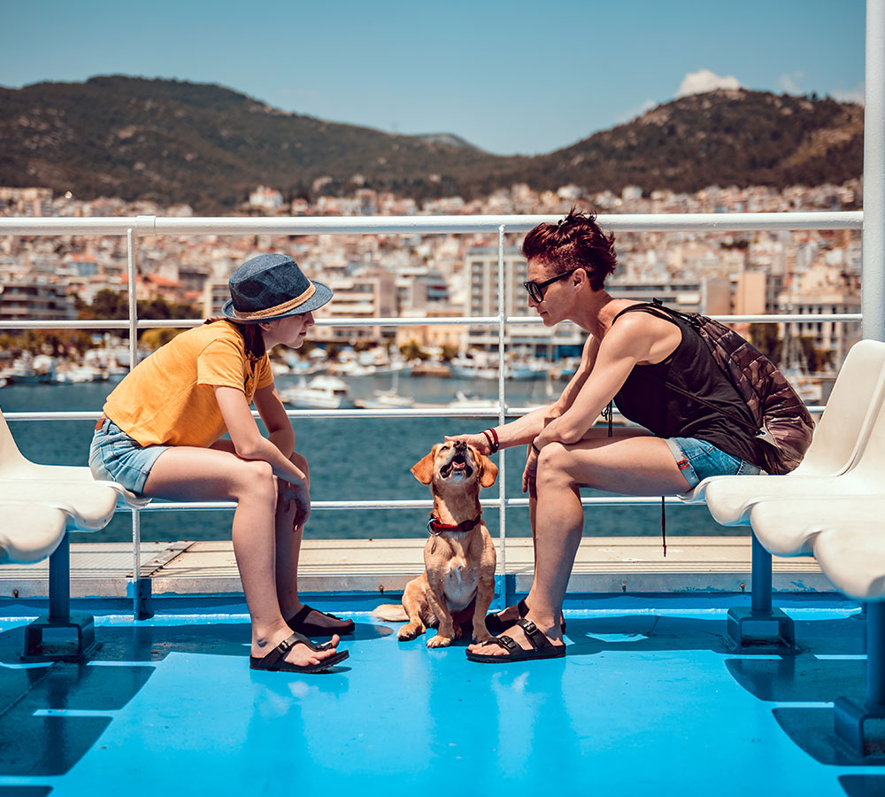 Direct Ferries Reviews And Guide Best Online Ferry Ticket
