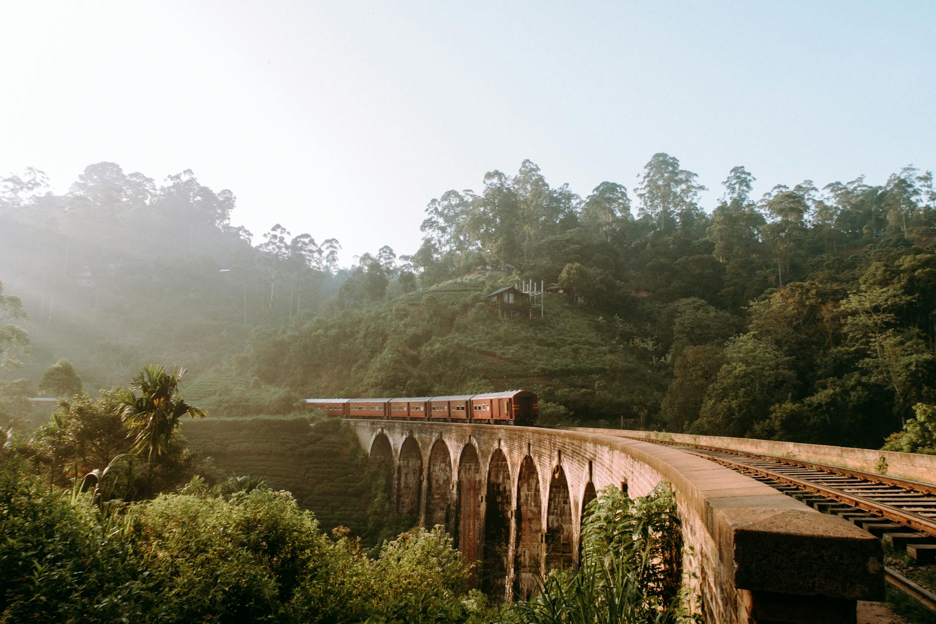 Sri Lanka Travel Itinerary 7 days brown train rail surrounded of green leaf tree